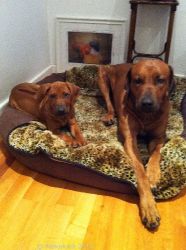 20110131_Adongo war nicht so entspannt_0191